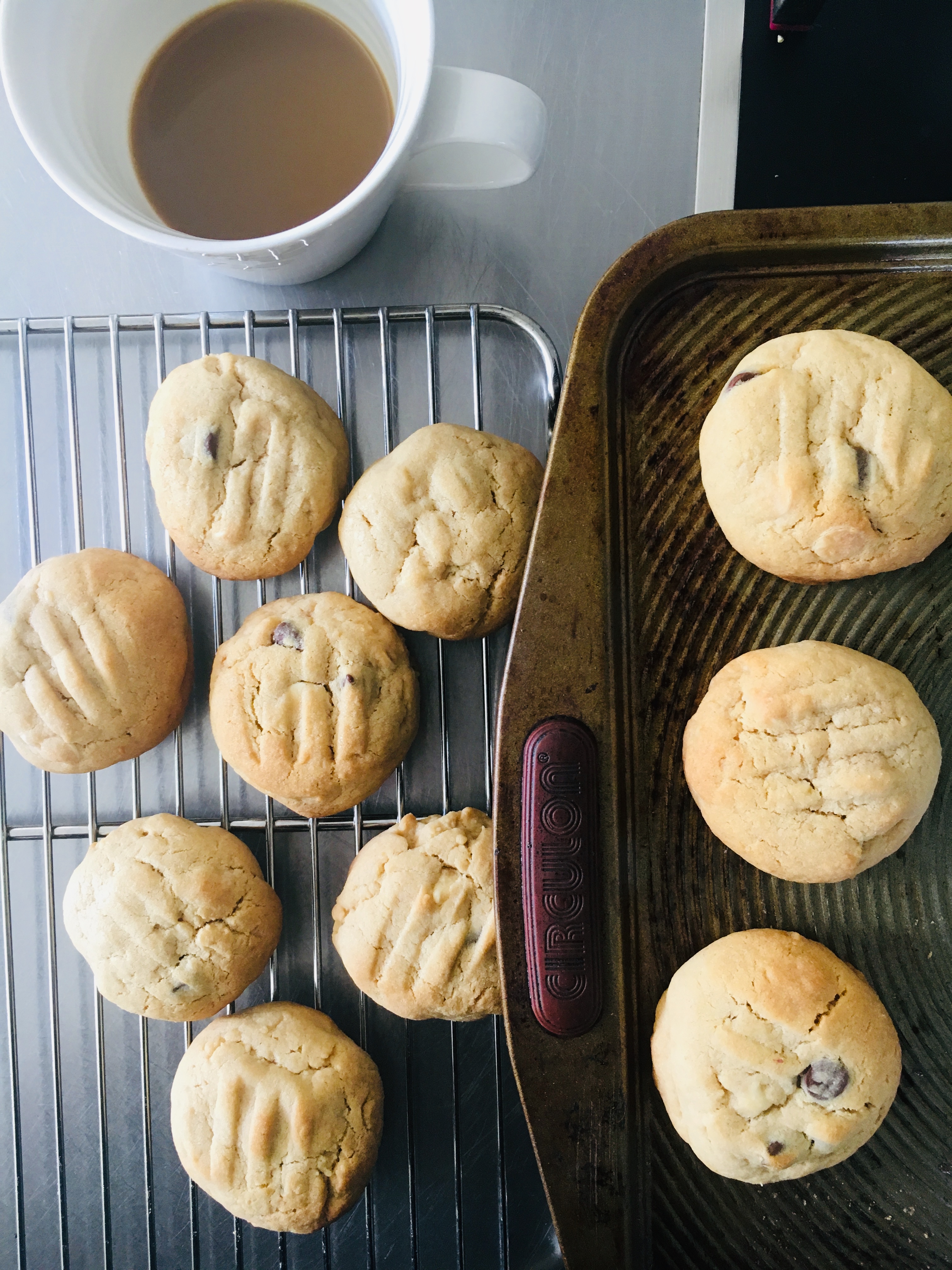 Choc Chip Biscuits Jax Hamilton